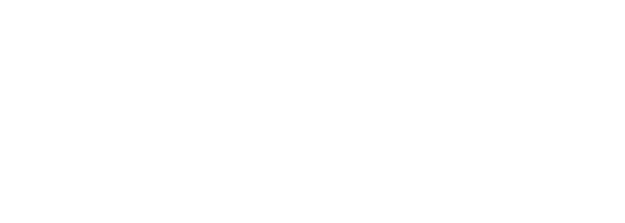 DeepL logo white