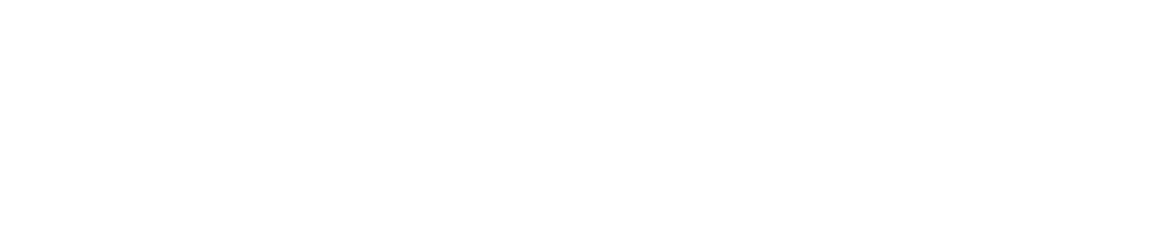 DeepSeek logo white