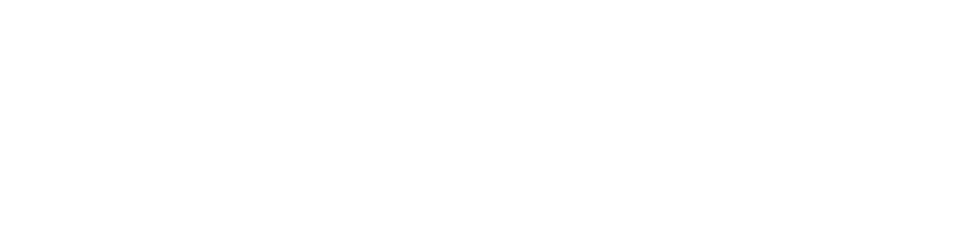 HiddenLayer logo white