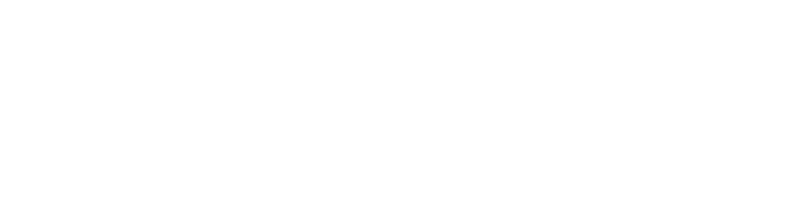 Paradox logo white