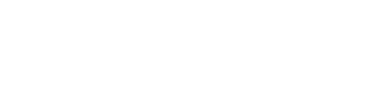 Perplexity logo white
